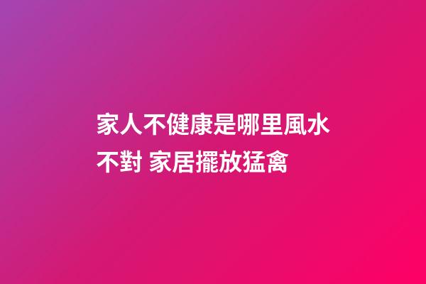 家人不健康是哪里風水不對 家居擺放猛禽